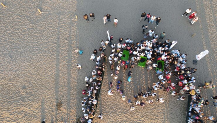 Muğla’da tedavileri tamamlanan 3 deniz kaplumbağası mavi sulara bırakıldı