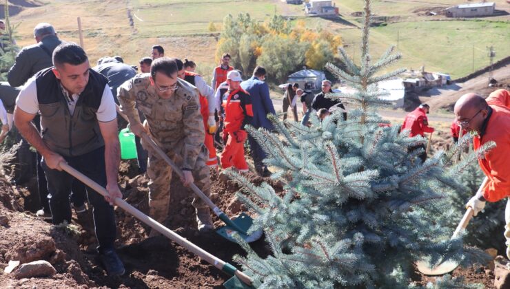 Palandöken Dağı ağaçlandırıldı – Haber 1