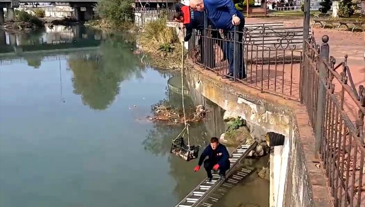 Zonguldak'ta çayda mahsur kalan kedi itfaiye merdiveniyle kurtarıldı