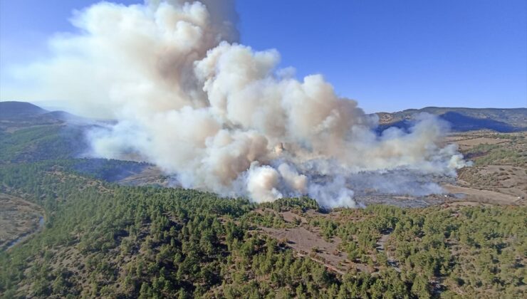 Bursa'da iki farklı noktada çıkan orman yangınına müdahale ediliyor