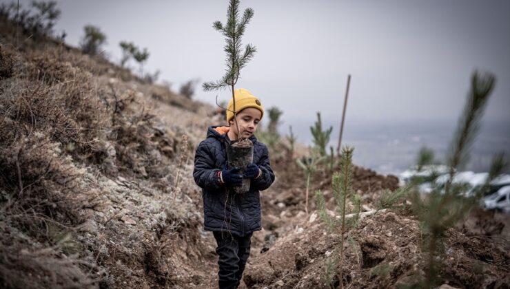 Milli Ağaçlandırma Günü’nde Doğu Anadolu’da fidanlar toprakla buluşturuldu