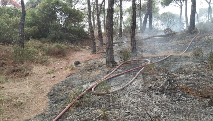 Heybeliada'da ormanlık alanda çıkan yangın kontrol altına alındı