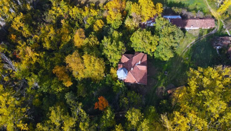 Kastamonu’da şehrin ortasında bir tutam sonbahar