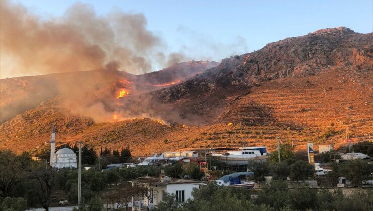 Muğla'da makilik alanda çıkan yangın kontrol altına alındı