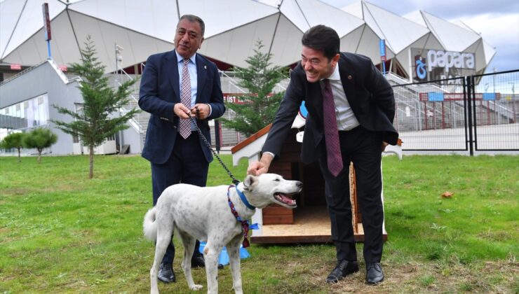 Trabzonspor Kulübü, Fenerbahçe maçı öncesinde sahaya giren köpeği sahiplendi